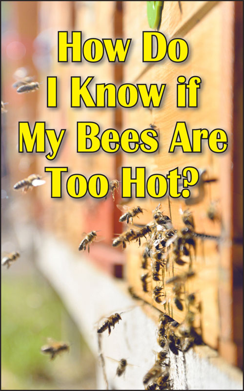 Bees Too Hot